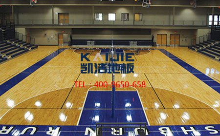 **籃聯(lián)籃球場館專用設計標準-籃球木地板