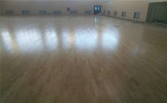 健身房、羽毛球館為什么用專用體育木地板-體育木地板